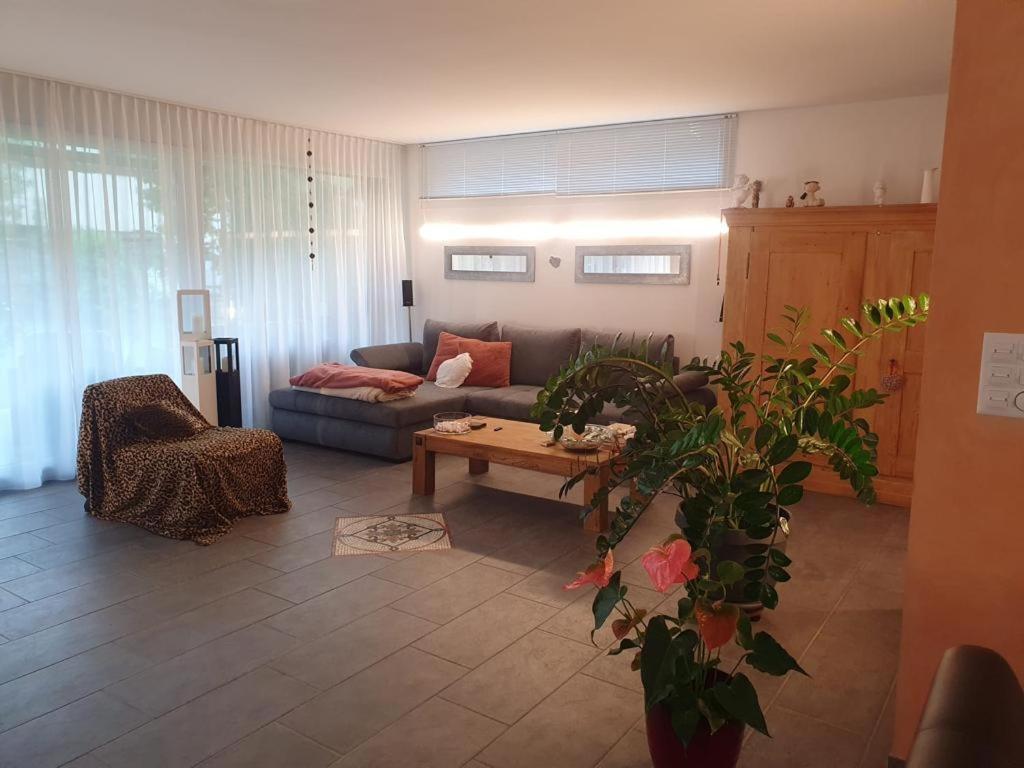 Casa Nadja, Naehe Skigebiet Flims-Lax Ems エクステリア 写真
