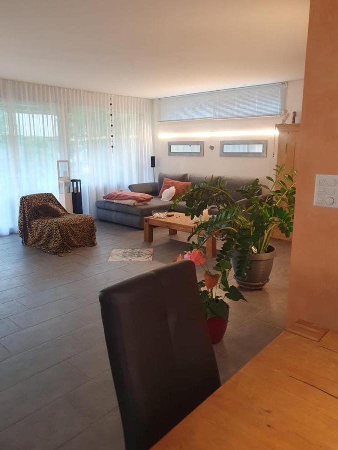 Casa Nadja, Naehe Skigebiet Flims-Lax Ems エクステリア 写真